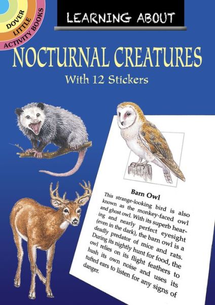 Cover for Sy Barlowe · Learning About Nocturnal Creatures - Little Activity Books (Taschenbuch) (2020)