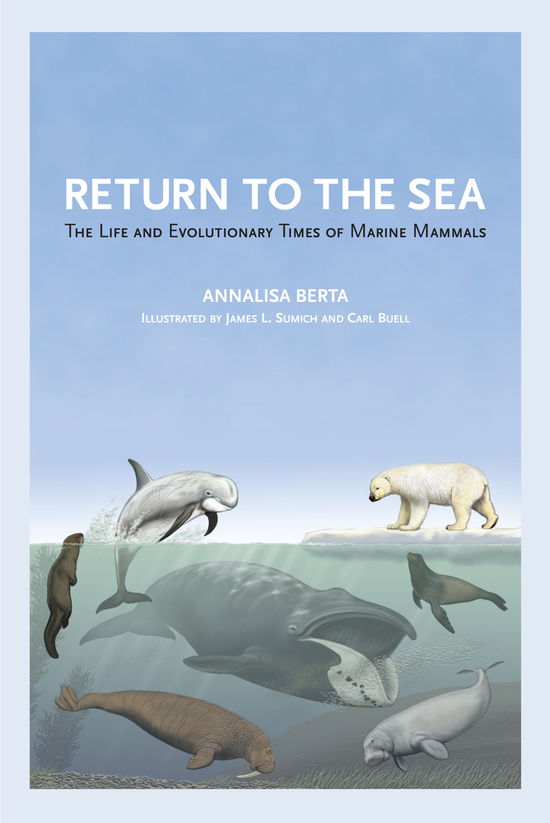 Cover for Annalisa Berta · Return to the Sea: The Life and Evolutionary Times of Marine Mammals (Hardcover Book) (2012)