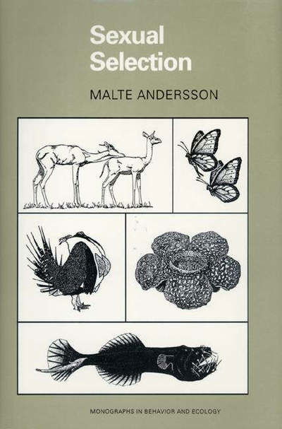 Cover for Malte Andersson · Sexual Selection (Pocketbok) (1994)