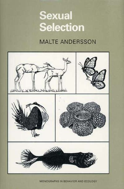Cover for Malte Andersson · Sexual Selection (Paperback Bog) (1994)