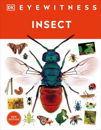 Insect - Dk - Bøker - Dorling Kindersley Publishing, Incorpora - 9780744081572 - 1. august 2023