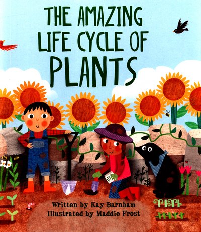Cover for Kay Barnham · Look and Wonder: The Amazing Plant Life Cycle Story - Look and Wonder (Inbunden Bok) (2017)