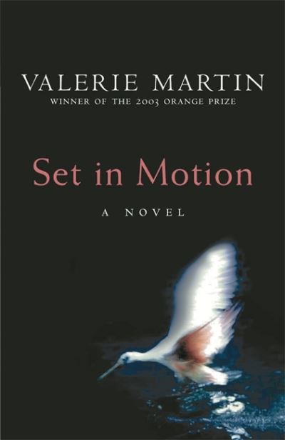 Cover for Valerie Martin · Set In Motion (Paperback Book) (2005)