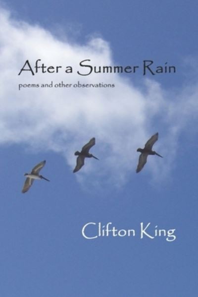 Cover for Clifton R King · After a Summer Rain (Paperback Book) (2020)