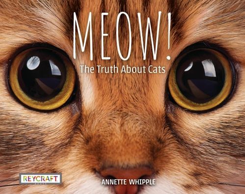 Cover for Annette Whipple · Meow! the Truth about Cats (Book) (2022)