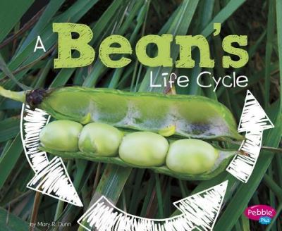 Cover for Mary R. Dunn · Bean's Life Cycle (Book) (2017)