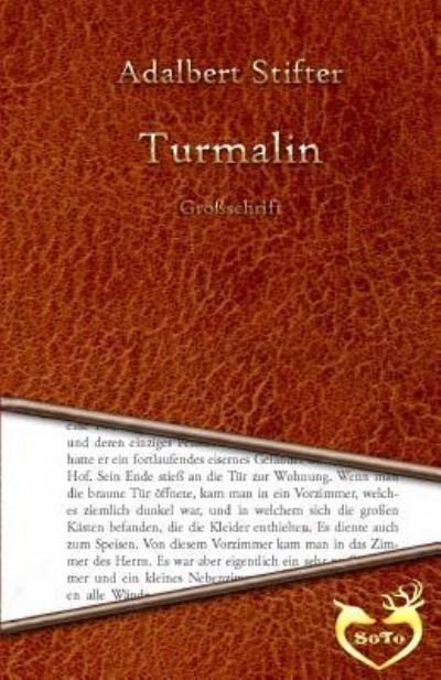 Cover for Adalbert Stifter · Turmalin - Grossdruck (Paperback Bog) (2016)