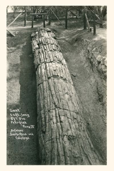 Cover for Found Image Press · Vintage Journal Giant Petrified Log, Santa Rosa (Book) (2022)