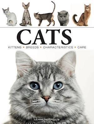 Cats - Mini Animals - Julianna Photopoulos - Książki - Amber Books Ltd - 9781838862572 - 14 kwietnia 2023