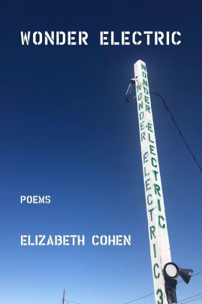 Cover for Elizabeth Cohen · Wonder Electric (Paperback Book) (2021)