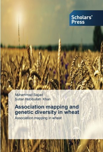 Cover for Sultan Habibullah Khan · Association Mapping and Genetic Diversity in Wheat: Association Mapping in Wheat (Paperback Book) (2014)