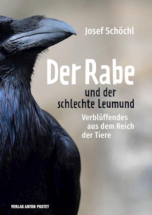 Cover for Josef Schöchl · Der Rabe und der schlechte Leumund (Book) (2022)