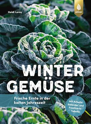 Cover for Heidi Lorey · Wintergemüse (Book) (2024)