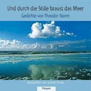 Cover for Storm · Und durch die Stille braust das M (Buch)
