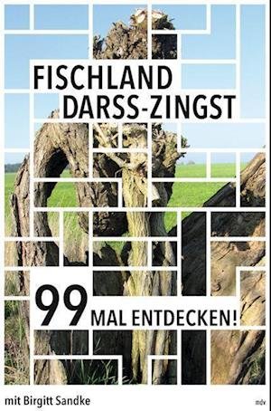 Cover for Birgitt Sandke · Fischland-Darß-Zingst 99 Mal entdecken! (Book) (2023)