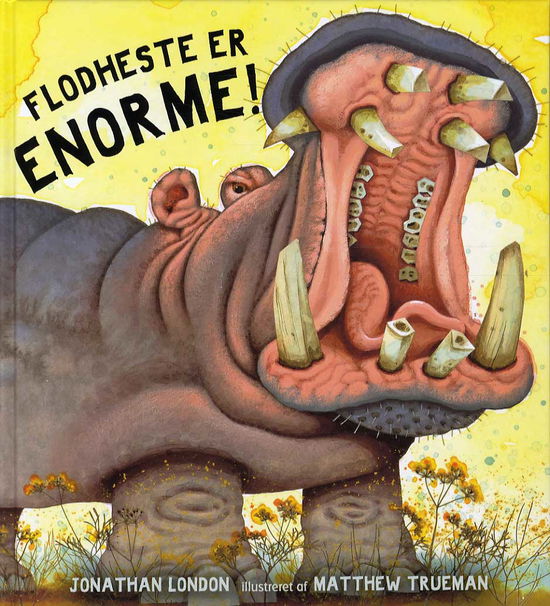 Cover for Jonathan London · Flodheste er enorme! (Gebundesens Buch) [1. Ausgabe] (2015)