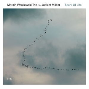 Spark Of Life - Marcin Wasilewski Trio - Música - ECM - 0602537929573 - 13 de outubro de 2014