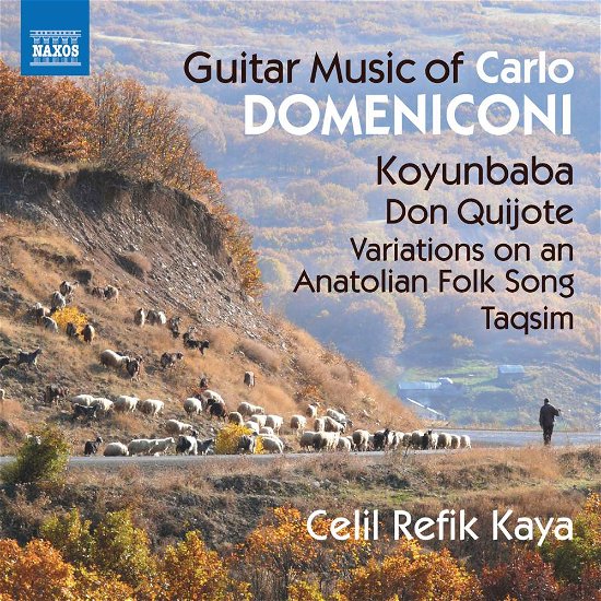 Guitar Music of Carlo Domeniconi - Domeniconi / Kaya - Musik - NAXOS - 0747313367573 - 13. april 2018