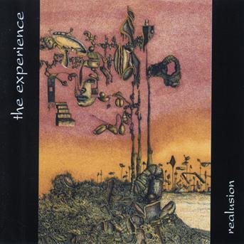 Cover for Experience · Realusion (CD) (2000)