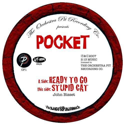 Cover for Pocket · Ready to Go/stupid Cat (7&quot;) (2009)