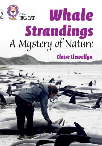 Cover for Claire Llewellyn · Whale Strandings: A Mystery of Nature: Band 10+/White Plus - Collins Big Cat (Paperback Book) (2022)