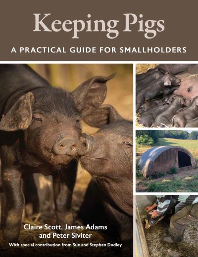 Keeping Pigs: A Practical Guide for Smallholders - Claire Scott - Books - The Crowood Press Ltd - 9780719842573 - September 25, 2023