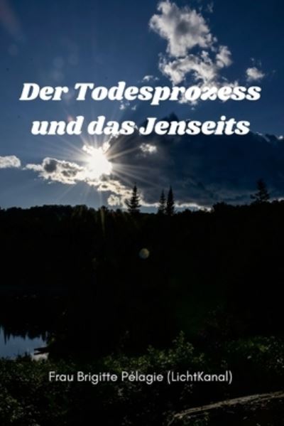 Cover for Madame Brigitte Pelagie · Der Todesprozess und das Jenseits (Paperback) (Paperback Book) (2016)