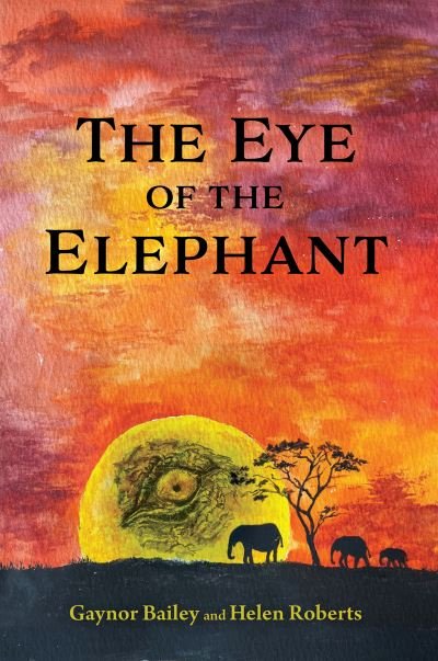 Cover for Gaynor Bailey · The Eye of the Elephant: And What Do You See? (Paperback Book) (2024)