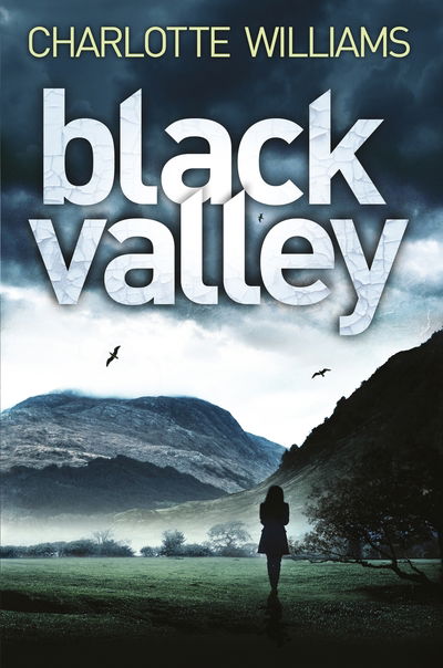 Cover for Charlotte Williams · Black Valley (N/A) [Main Market Ed. edition] (2015)