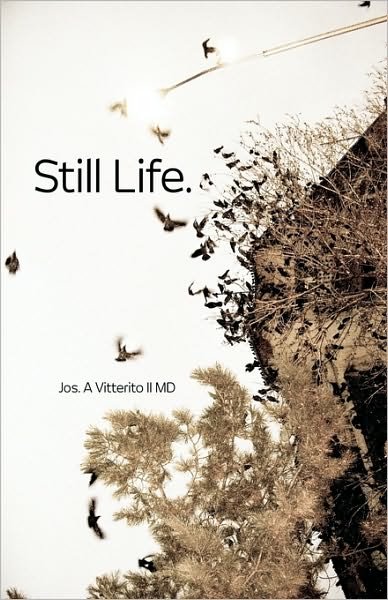 Cover for Jos a Vitterito II Md · Still Life (Pocketbok) (2010)