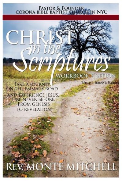 Cover for Rev Monte Mitchell · Christ in the Scriptures: Workbook (Paperback Book) (2014)