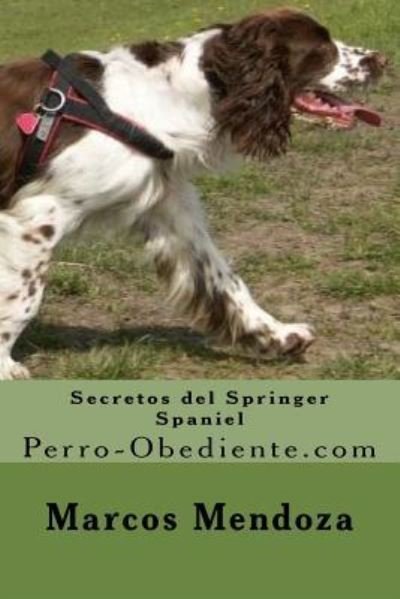 Cover for Marcos Mendoza · Secretos del Springer Spaniel (Pocketbok) (2016)