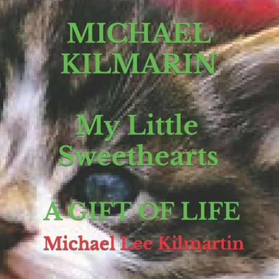 Cover for Michael Lee Kilmartin · My Little Sweethearts Adventures (Paperback Book) (2018)