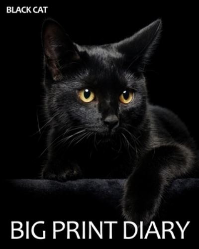 Cover for Snapping Turtle Books · Black Cat Big Print Diary (Paperback Book) (2018)