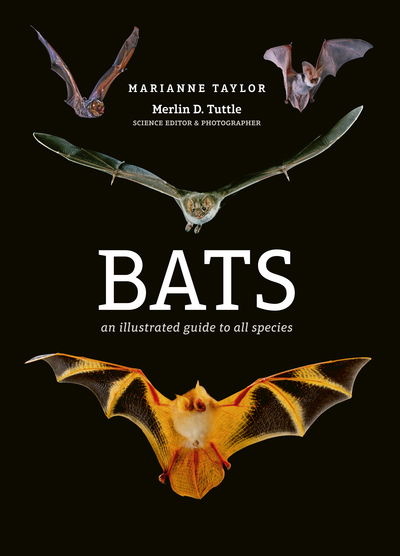 Cover for Marianne Taylor · Bats: An illustrated guide to all species (Inbunden Bok) (2019)