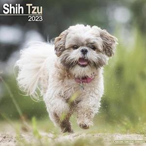 Cover for Kalender · Shih Tzu 2023 Wall Calendar (Calendar) (2022)