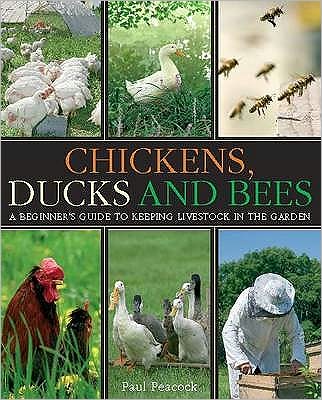 Cover for Paul Peacock · Chickens, Ducks and Bees: A beginner's guide to keeping livestock in the garden (Paperback Book) (2011)