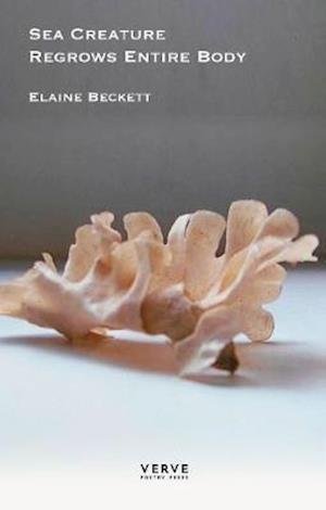 Cover for Elaine Beckett · Sea Creature Regrows Entire Body (Paperback Book) (2021)