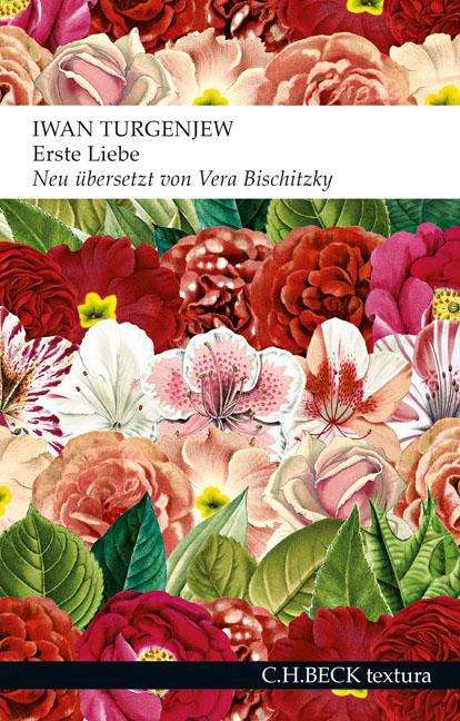 Cover for Turgenjew · Erste Liebe (Bog)