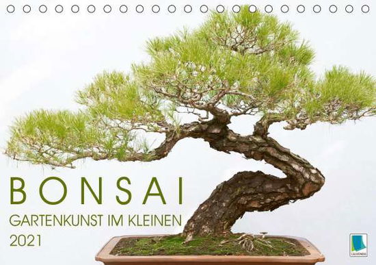 Cover for Bonsai · Gartenkunst im Kleinen (Tischka (Book)