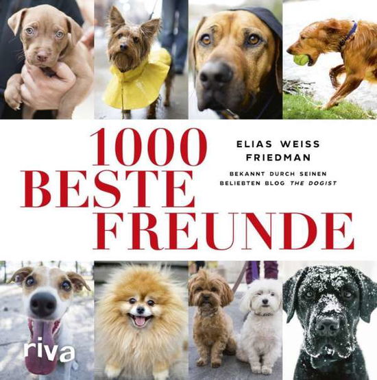 Cover for Friedman · 1000 beste Freunde (Book)