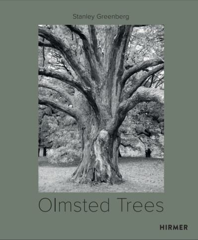Cover for Tom Avermaete · Olmsted Trees (Bilingual edition): Stanley Greenberg (Hardcover Book) (2022)