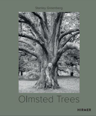 Olmsted Trees (Bilingual edition): Stanley Greenberg - Tom Avermaete - Kirjat - Hirmer Verlag - 9783777438573 - torstai 16. kesäkuuta 2022