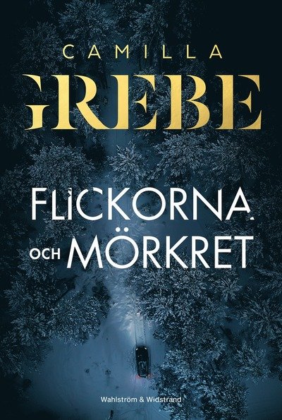 Cover for Camilla Grebe · Flickorna och Mörkret (Bound Book) (2024)