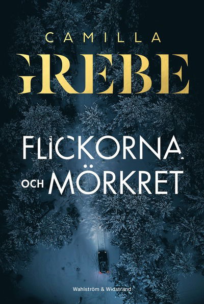 Cover for Camilla Grebe · Flickorna och Mörkret (Gebundenes Buch) (2024)