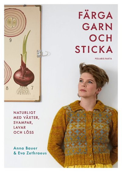 Cover for Eva Zethraeus · Färga garn och sticka - Naturligt med växter, svampar, lavar och löss (Bound Book) (2021)