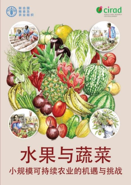 Cover for Food and Agriculture Organization of the United Nations · Fruit and Vegetables (Chinese Edition): Opportunities and Challenges for SmallScale Sustainable Farming (Paperback Book) [Chinese edition] (2022)
