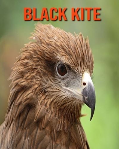 Cover for William Doyle · Black kite (Paperback Book) (2020)