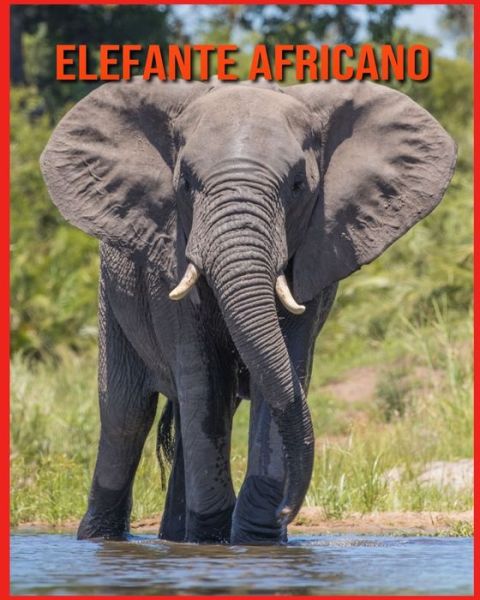 Cover for Linda Davis · Elefante Africano: Fatti di apprendimento divertenti sui Elefante Africano (Paperback Book) (2021)