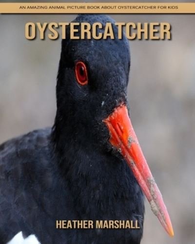 Cover for Heather Marshall · Oystercatcher: An Amazing Animal Picture Book about Oystercatcher for Kids (Paperback Book) (2021)